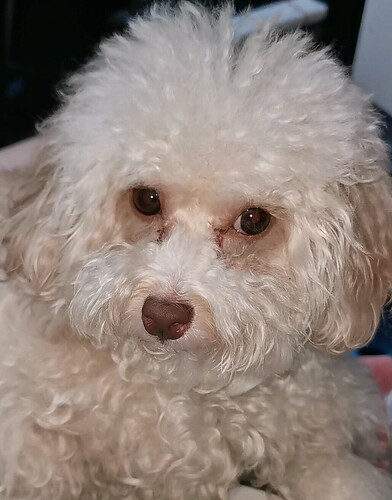 Videoframe_20250912_201046_com.huawei.himovie.overseas_edit_308715031749246